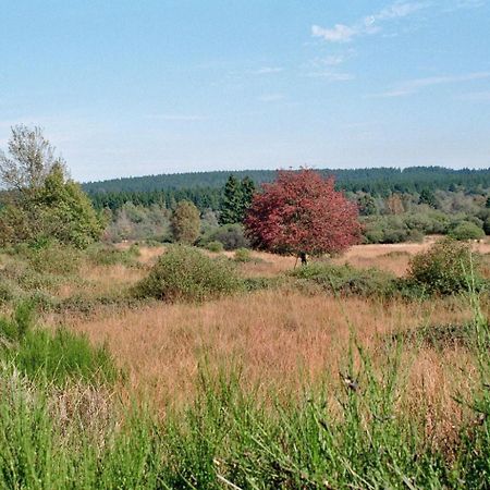 Loeftchen Villa Рьотген Екстериор снимка